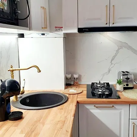 Apartament De Lux Central, P-ta Matei Corvin Kluż-Napoka