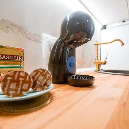 Appartamento De Lux Central, P-ta Matei Corvin *