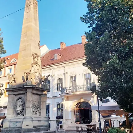 De Lux Central, P-ta Matei Corvin Cluj-Napoca