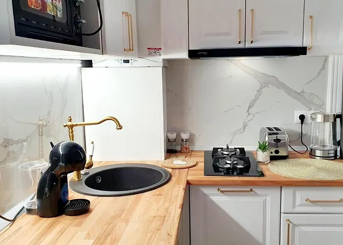 Apartament De Lux Central, P-ta Matei Corvin Kluż-Napoka