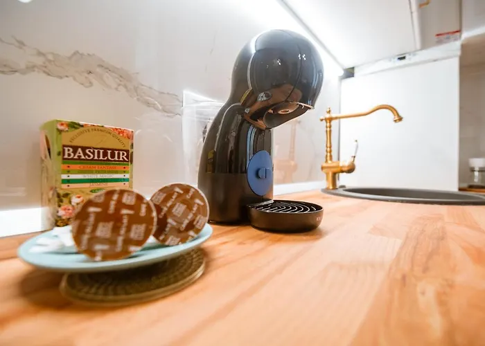 Apartament De Lux Central, P-ta Matei Corvin *