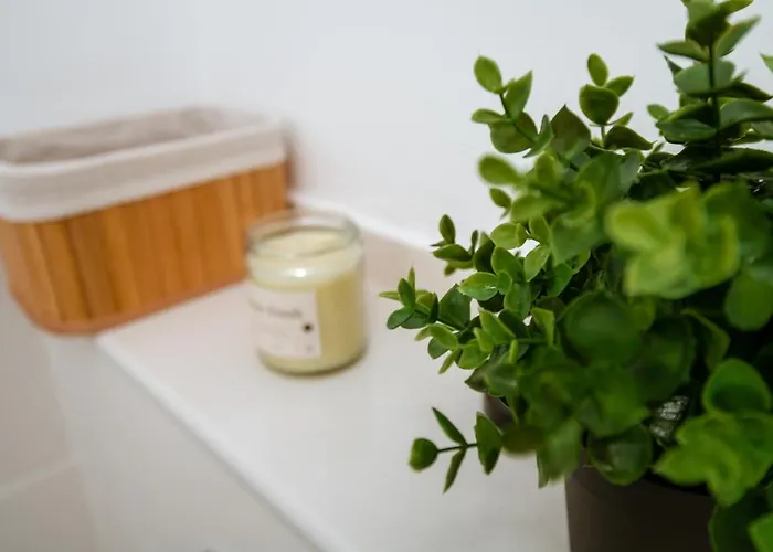 De Lux Central, P-ta Matei Corvin Cluj-Napoca